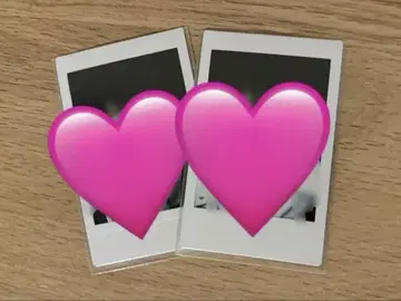 화이트 턱시도 러브시크 타이요 폴라로이드