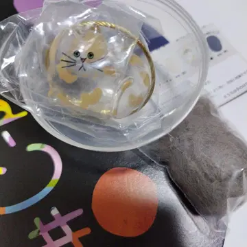 우리 아이는 아직 녹색 고양이 캡슐 토이