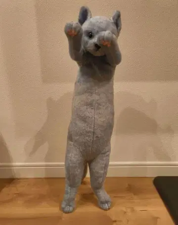 터치 Zoo 러시아 블루 고양이 봉제 인형
