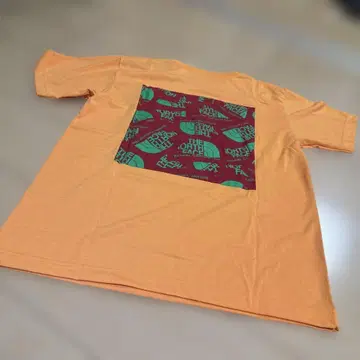 THE NORTH FACE 오렌지 티셔츠 반팔