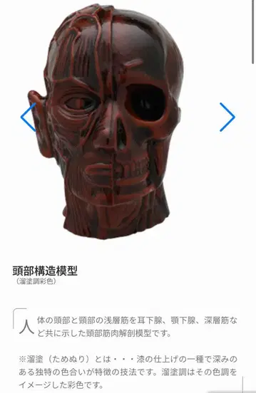 사이언스 테크니컬러 인체 모형 스트랩 I