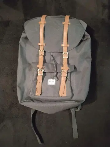 Herschel Supply 백팩 그린