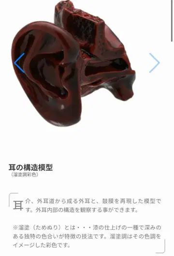 사이언스 테크니컬러 인체 모형 스트랩 I