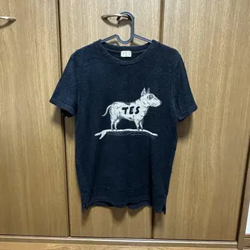 tes 티셔츠