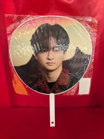 Hey! Say! JUMP 24-25년 H+ 지넨 유이 부채