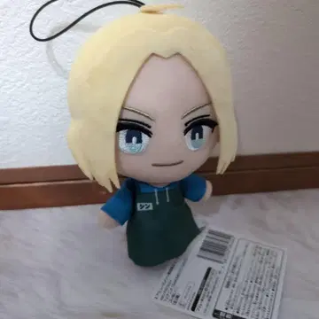 사카모토 데이즈 코레누이 아사쿠라 신 1개 세트