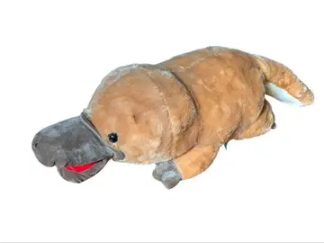 빅 사이즈] 하시코카모노시 빅 봉제 인형 (약 80cm)