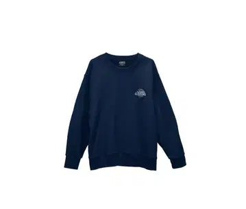 BUMP OF CHICKEN Sweat Shirts 맨투맨 L 사이즈