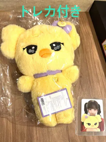 IVE MINIVE 레이 팝업 한정판 30cm 봉제 인형 트레이딩 카드