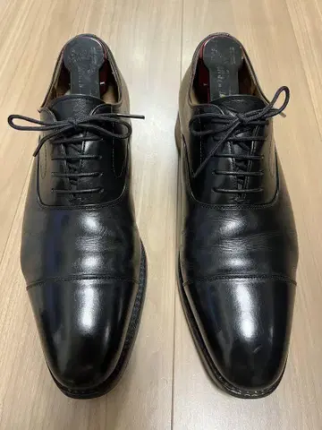스카치 그레인 샤이오 레인 25.0cm