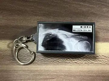 기시단 아야코지 쇼 렌트겐 키링 가챠 라키드로