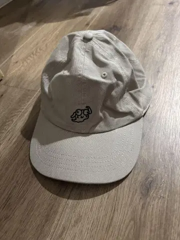 아사카 코우타 씨 요 캡
