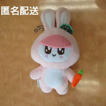 세븐틴 모자 꽁지 토끼