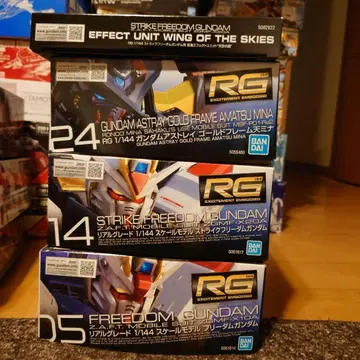 RG 건담 프라모델 세트