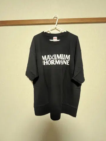 맥시멈 더 호르몬 칼로리 메이트 2XL