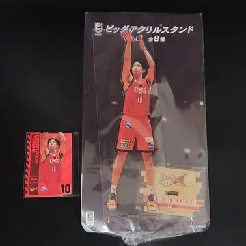 B.LEAGUE 브렉스 빅 아크릴 스탠드 카드 요시이 히로타카 gigo