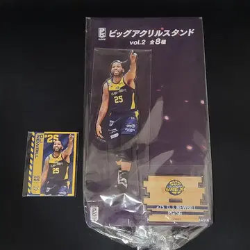 B.LEAGUE 브렉스 아크릴 스탠드 카드 뉴빌 lgigo