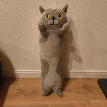 고양이 봉제 인형 그레이 서 있는 모습