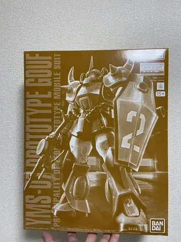 MG 1/100 프로토타입 구프
