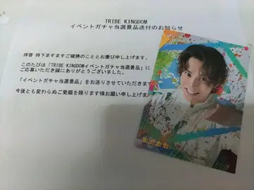 TRIBE KINGDOM 가챠 경품 사진 카드