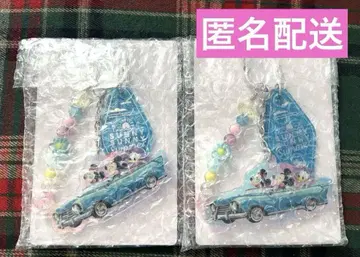 디즈니 써니 써니 썸머 키체인 시크릿 2개