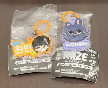 RIIZE 가챠 푹신한 메지루시 액세서리 원빈 키링