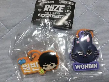 RIIZE 통통한 메지루시 액세서리 원빈 가챠