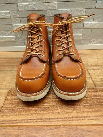 REDWING 875 아이리쉬 세터