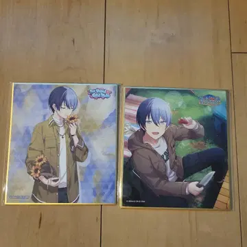 프로세카 아오야기 토야 겨울 색지 2장