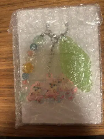 써니 써니 썸머 키링 칩과 데일