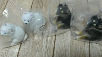 훈마리누 블랙 시바견 & 포메라니안 2마리 세트