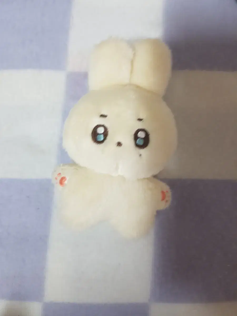 세븐틴 도겸 10cm 인형 도토리