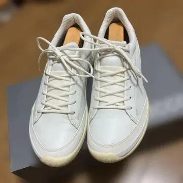 에코 골프화 스파이크리스 25.5cm