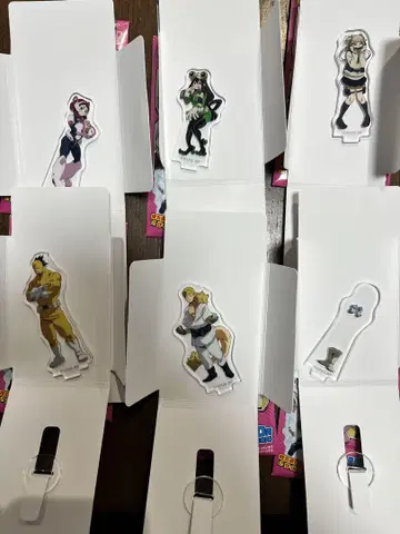 히로아카 아쿠스타즈 B 묶음 판매
