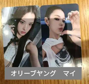 마이 izna 한국 올리브영 앨범 구매 혜택 트레이딩 카드 라키드로 세트