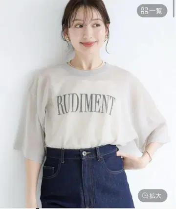 LEPSIM 시어 로고 탑