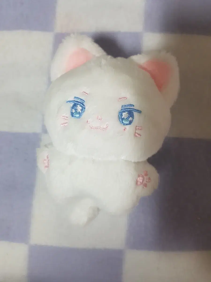 세븐틴 준 10cm 인형 쭌냥휘