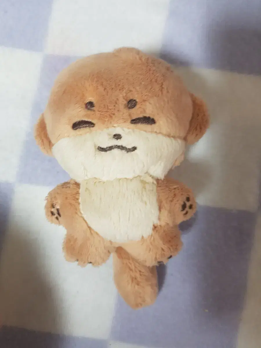 세븐틴 디노 10cm 인형 찬당이