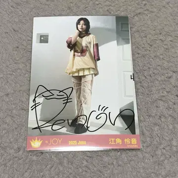 니아 조이 Anniversarybook 애니바 북 에스미 레온 직필