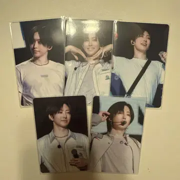 andteam FUMA 세카난 라이브 사진 컴프