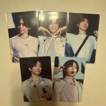 andteam FUMA 세카난 라이브 사진 컴프