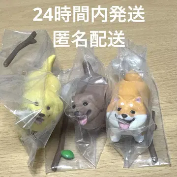 좋은 막대를 겟한 개 골든 리트리버 닥스훈트 코기 3점