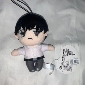 빛이 죽은 여름 요시키 피코누이