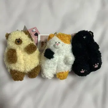 오늘은 월요일. 고양이 기분 봉제 인형 3개 세트