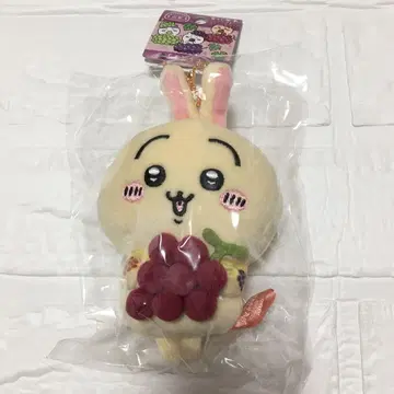 지역 특산품 치이카와 토끼 포도 봉제 인형 키체인 야마나시 한정판