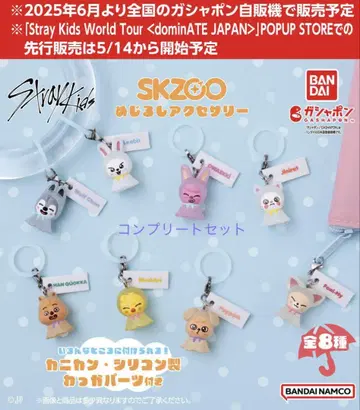 skzoo 가챠 메지루시 액세서리 컴플리트 세트