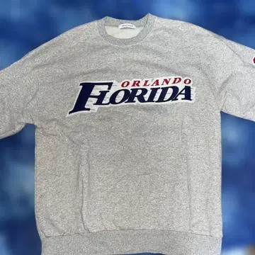 ORLANDO FLORIDA 그레이 맨투맨