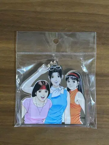 아크릴 다이 컷 블록 KOF THE KING OF FIGHTERS