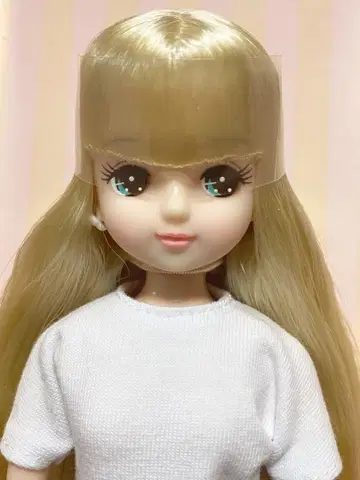 리카짱, 키라짱 2023년 고베 산노미야 BASIC 모델