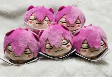 이레이스 낮잠 고양이 마스코트 나이고 5개 세트